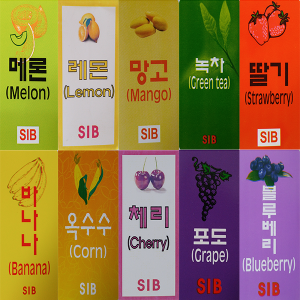 선인 레진10종모음(메론/딸기/망고/녹차/옥수수/포도/바나나/블루베리/체리/레몬)1kg